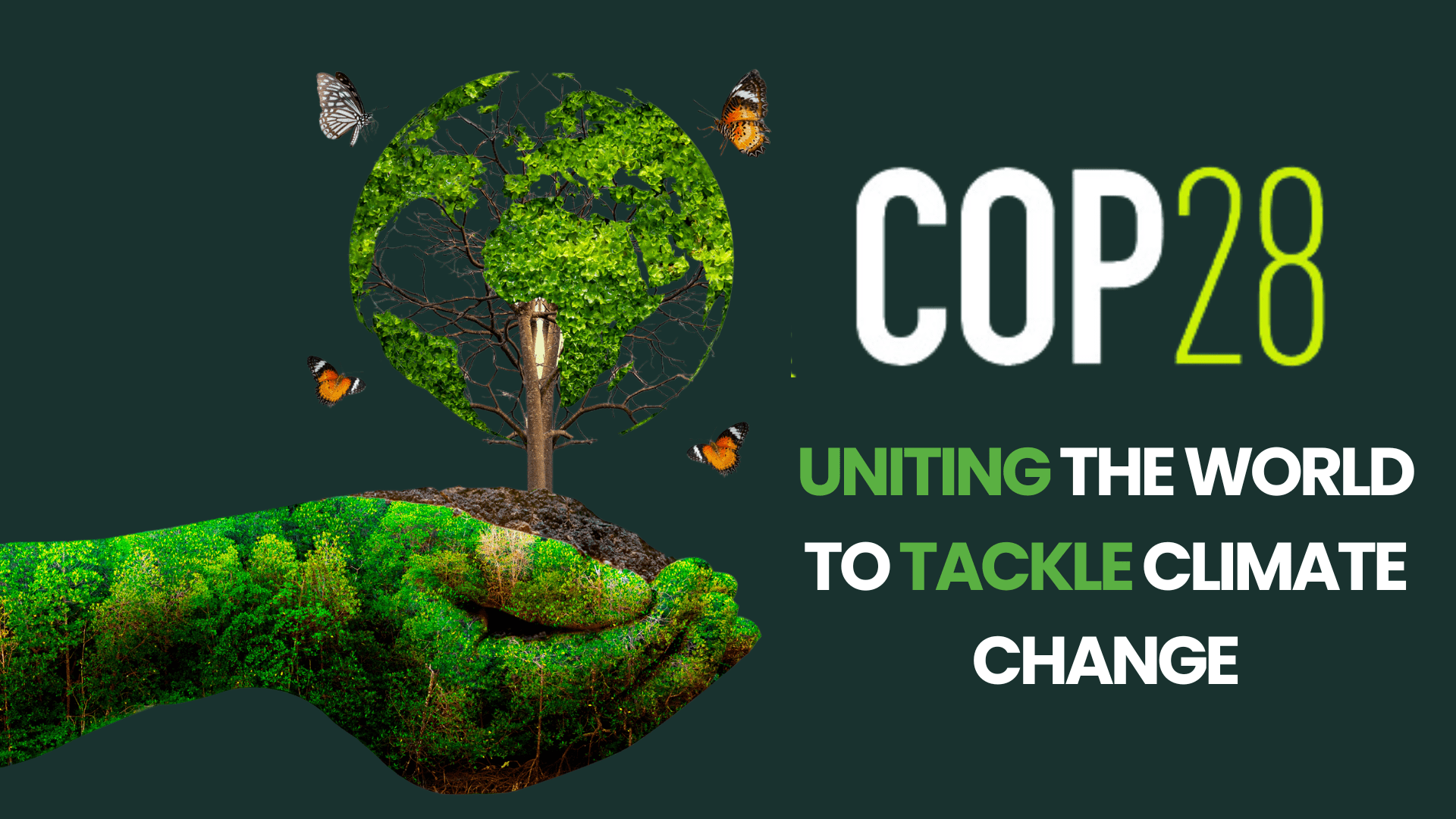 COP28